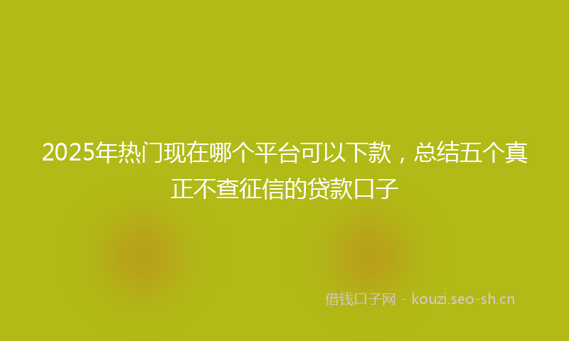 2025年热门现在哪个平台可以下款，总结五个真正不查征信的贷款口子