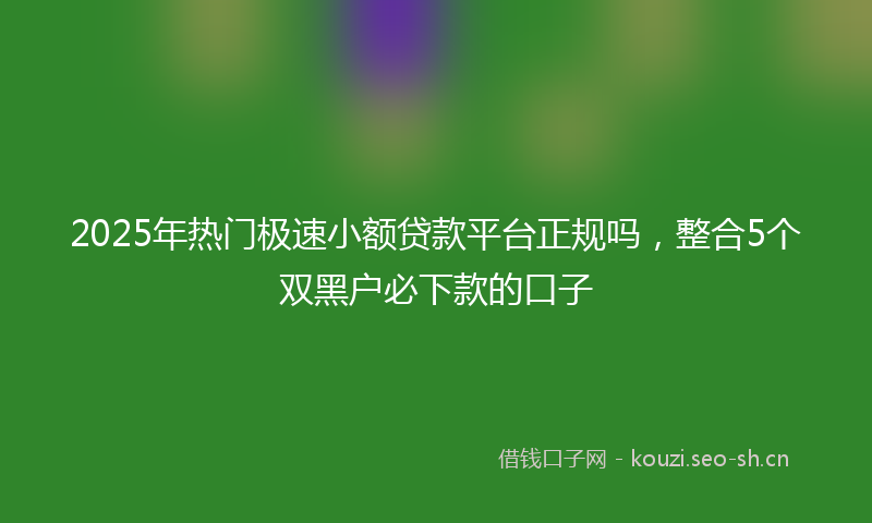 2025年热门极速小额贷款平台正规吗，整合5个双黑户必下款的口子