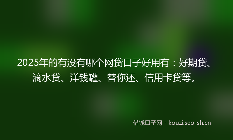 2025年的有没有哪个网贷口子好用有:好期贷、滴水贷、洋钱罐、替你还、信用卡贷等。