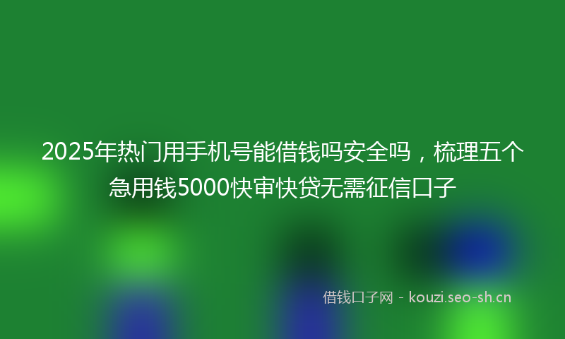 2025年热门用手机号能借钱吗安全吗，梳理五个急用钱5000快审快贷无需征信口子