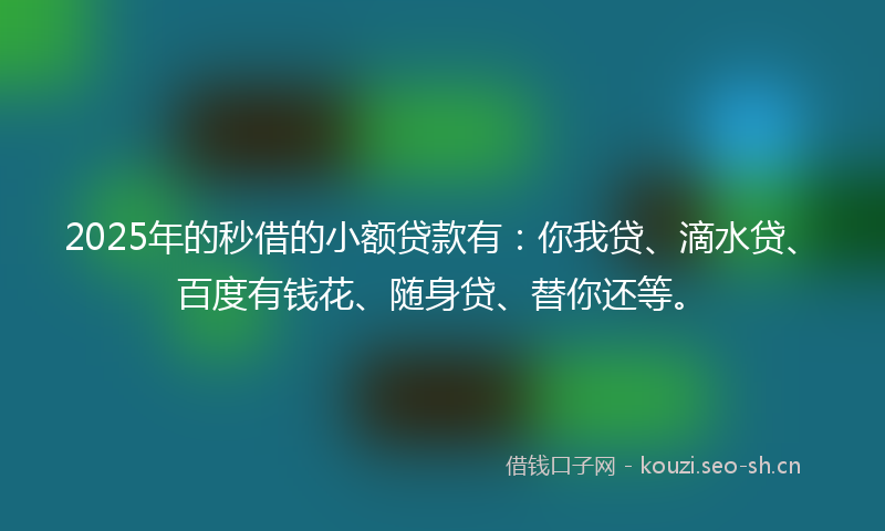 2025年的秒借的小额贷款有：你我贷、滴水贷、百度有钱花、随身贷、替你还等。