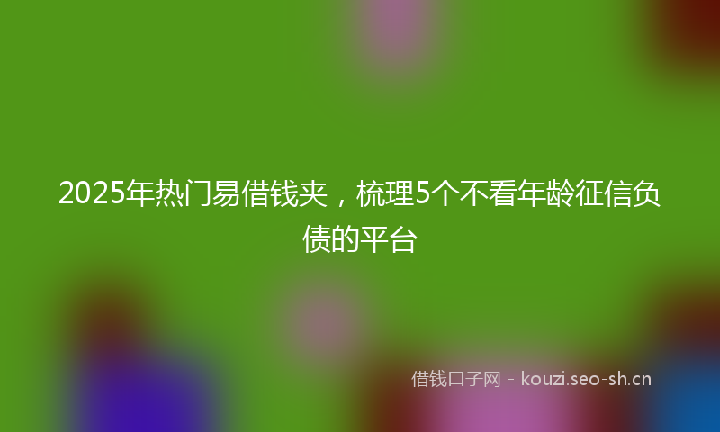 2025年热门易借钱夹,梳理5个不看年龄征信负债的平台