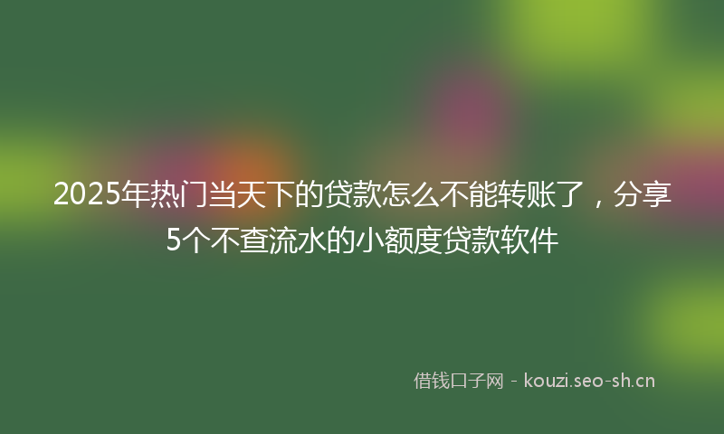 2025年热门当天下的贷款怎么不能转账了，分享5个不查流水的小额度贷款软件