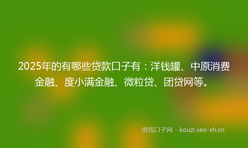 2025年的有哪些贷款口子有：洋钱罐、中原消费金融、度小满金融、微粒贷、团贷网等。