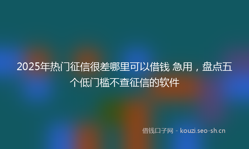 2025年热门征信很差哪里可以借钱 急用，盘点五个低门槛不查征信的软件