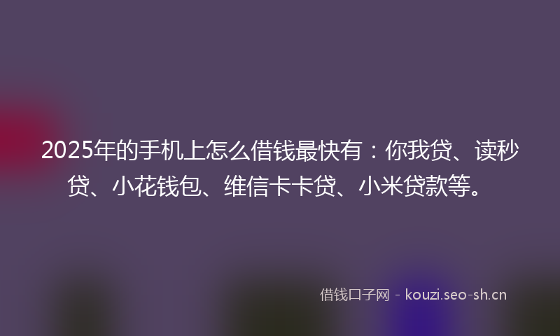 2025年的手机上怎么借钱最快有：你我贷、读秒贷、小花钱包、维信卡卡贷、小米贷款等。