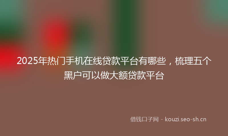 2025年热门手机在线贷款平台有哪些，梳理五个黑户可以做大额贷款平台