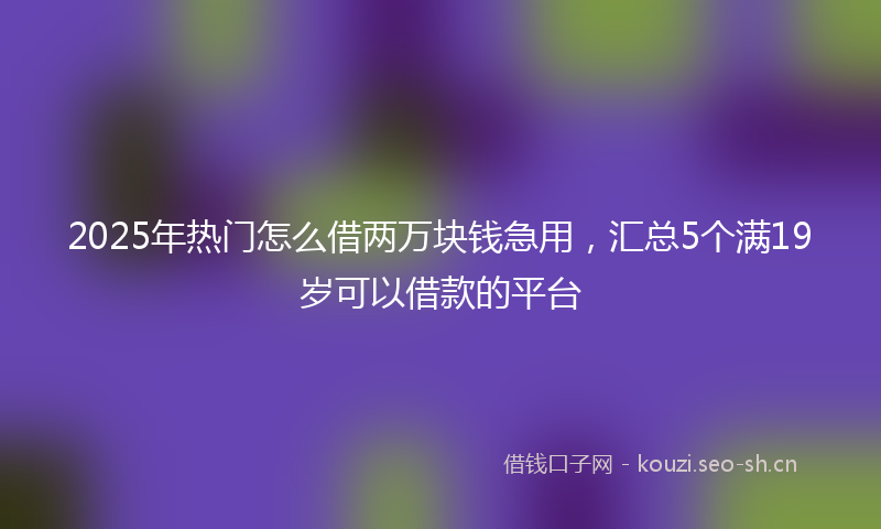 2025年热门怎么借两万块钱急用，汇总5个满19岁可以借款的平台