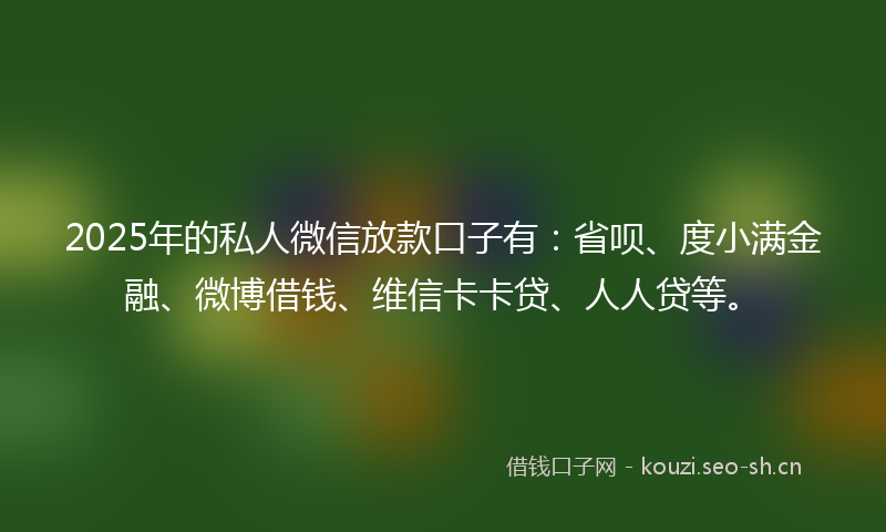 2025年的私人微信放款口子有：省呗、度小满金融、微博借钱、维信卡卡贷、人人贷等。