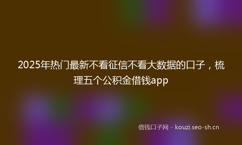2025年热门最新不看征信不看大数据的口子，梳理五个公积金借钱app
