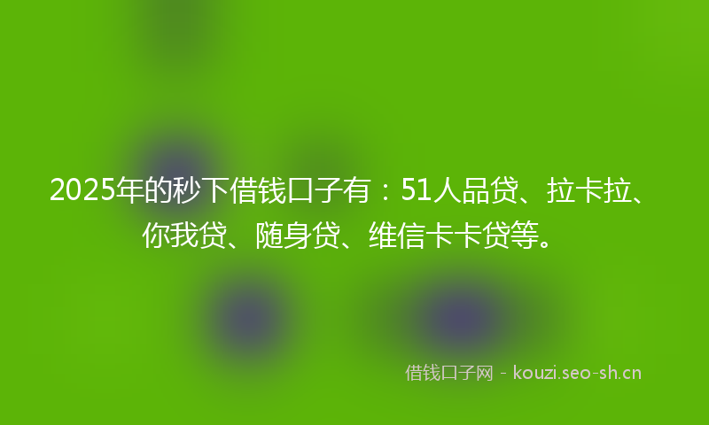 2025年的秒下借钱口子有：51人品贷、拉卡拉、你我贷、随身贷、维信卡卡贷等。
