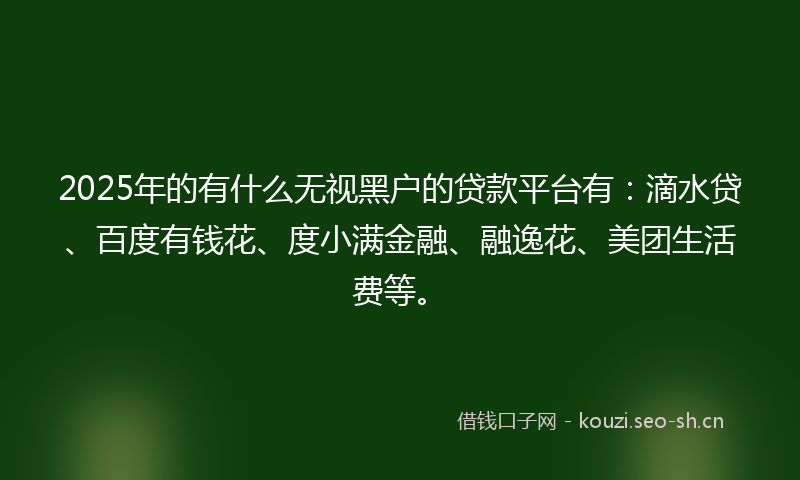 2025年的有什么无视黑户的贷款平台有：滴水贷、百度有钱花、度小满金融、融逸花、美团生活费等。