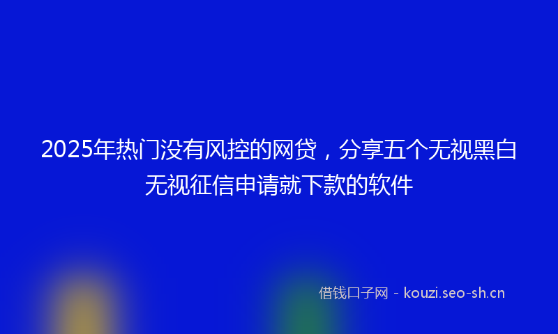 2025年热门没有风控的网贷，分享五个无视黑白无视征信申请就下款的软件