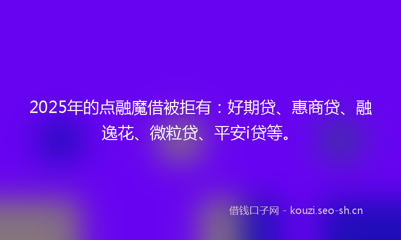 2025年的点融魔借被拒有：好期贷、惠商贷、融逸花、微粒贷、平安i贷等。