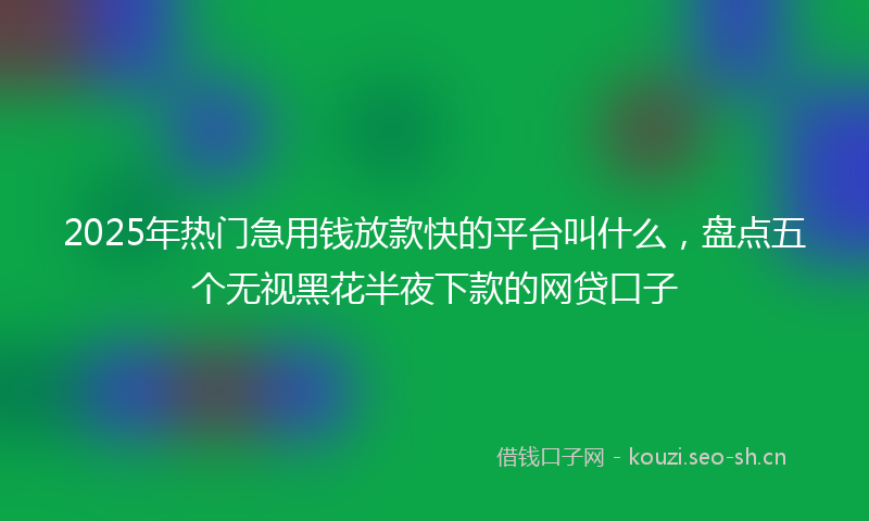 2025年热门急用钱放款快的平台叫什么，盘点五个无视黑花半夜下款的网贷口子