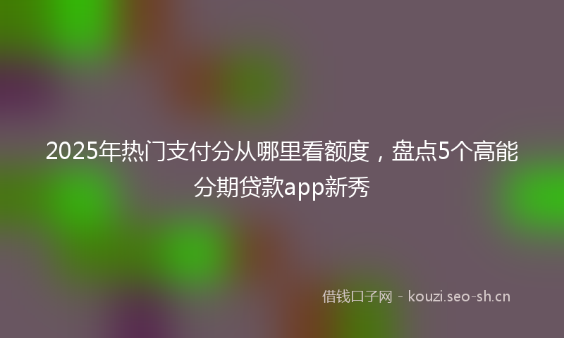 2025年热门支付分从哪里看额度，盘点5个高能分期贷款app新秀