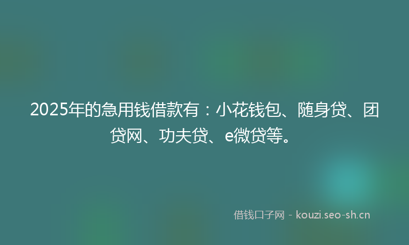 2025年的急用钱借款有：小花钱包、随身贷、团贷网、功夫贷、e微贷等。