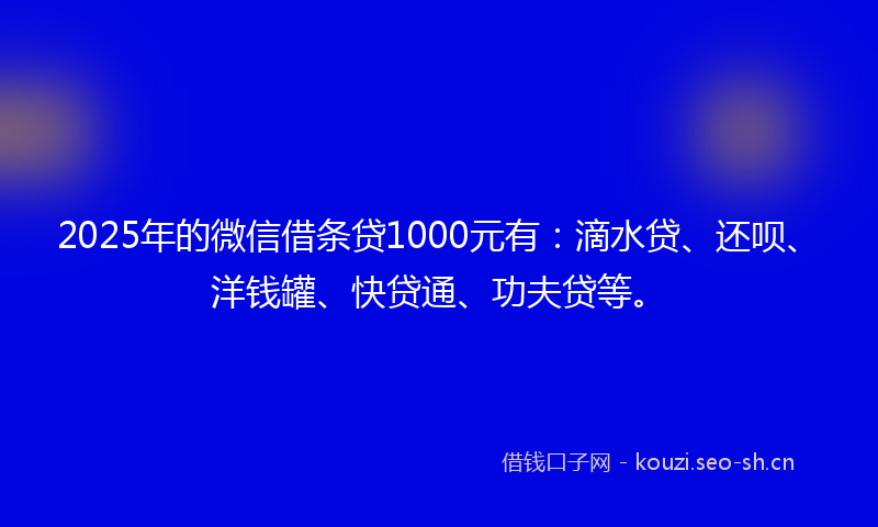 2025年的微信借条贷1000元有：滴水贷、还呗、洋钱罐、快贷通、功夫贷等。