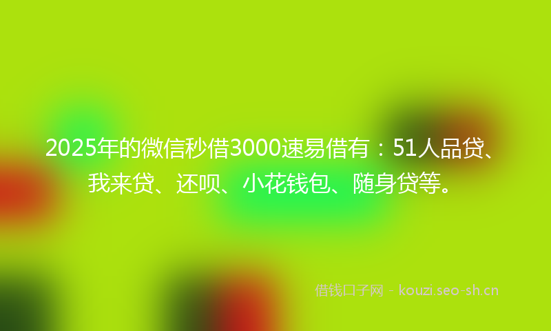 2025年的微信秒借3000速易借有:51人品贷、我来贷、还呗、小花钱包、随身贷等。