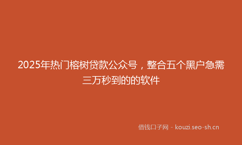 2025年热门榕树贷款公众号，整合五个黑户急需三万秒到的的软件