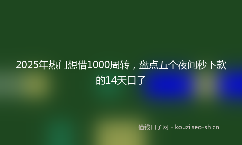 2025年热门想借1000周转，盘点五个夜间秒下款的14天口子