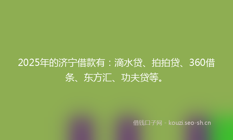 2025年的济宁借款有：滴水贷、拍拍贷、360借条、东方汇、功夫贷等。