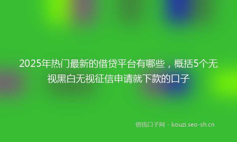 2025年热门最新的借贷平台有哪些，概括5个无视黑白无视征信申请就下款的口子