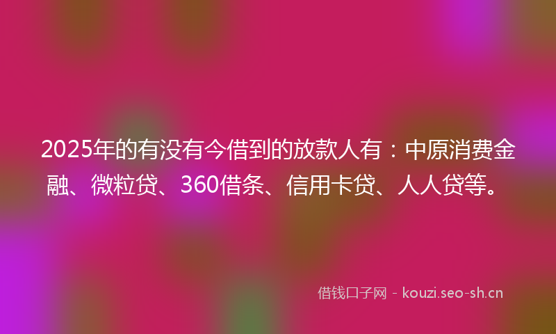 2025年的有没有今借到的放款人有：中原消费金融、微粒贷、360借条、信用卡贷、人人贷等。