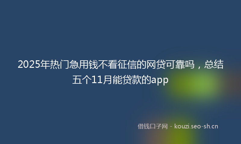 2025年热门急用钱不看征信的网贷可靠吗，总结五个11月能贷款的app