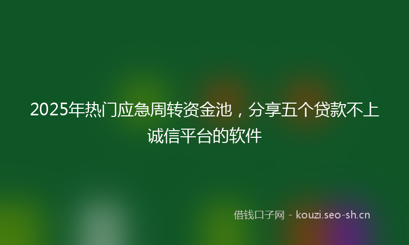 2025年热门应急周转资金池，分享五个贷款不上诚信平台的软件