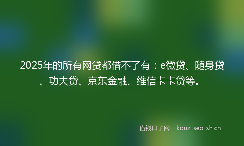 2025年的所有网贷都借不了有：e微贷、随身贷、功夫贷、京东金融、维信卡卡贷等。