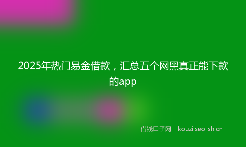 2025年热门易金借款，汇总五个网黑真正能下款的app