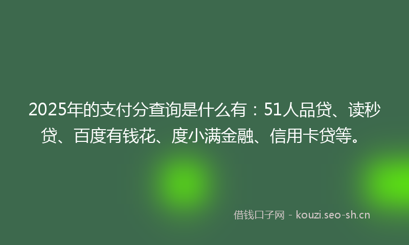 2025年的支付分查询是什么有：51人品贷、读秒贷、百度有钱花、度小满金融、信用卡贷等。