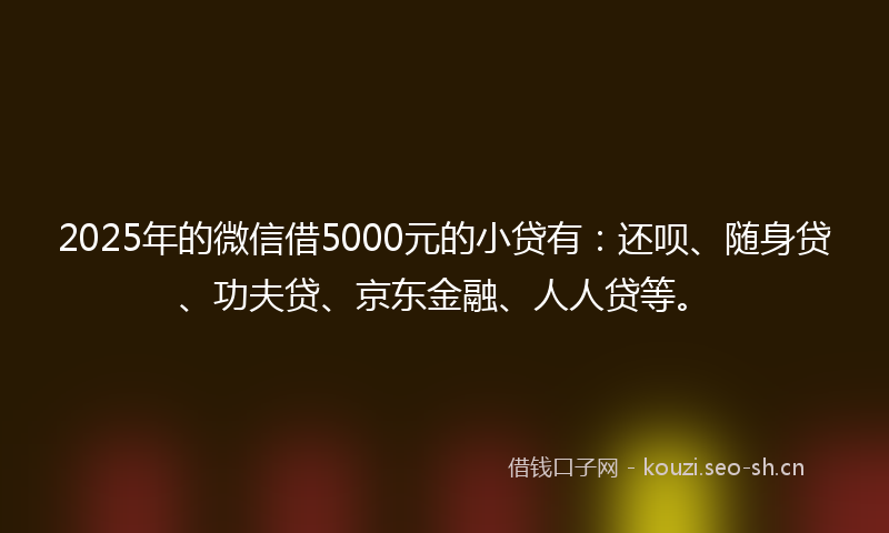 2025年的微信借5000元的小贷有:还呗、随身贷、功夫贷、京东金融、人人贷等。