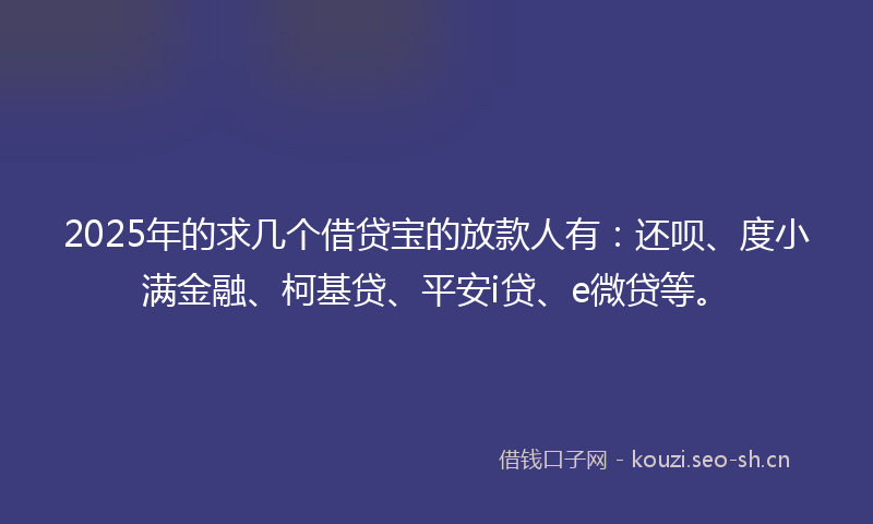 2025年的求几个借贷宝的放款人有：还呗、度小满金融、柯基贷、平安i贷、e微贷等。