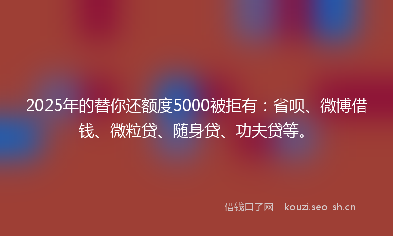 2025年的替你还额度5000被拒有：省呗、微博借钱、微粒贷、随身贷、功夫贷等。