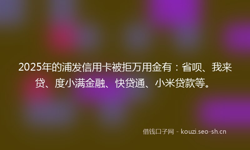 2025年的浦发信用卡被拒万用金有:省呗、我来贷、度小满金融、快贷通、小米贷款等。