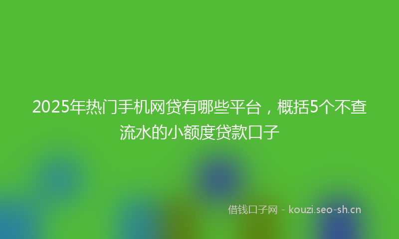 2025年热门手机网贷有哪些平台，概括5个不查流水的小额度贷款口子