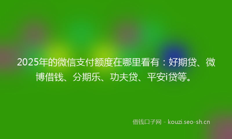 2025年的微信支付额度在哪里看有：好期贷、微博借钱、分期乐、功夫贷、平安i贷等。