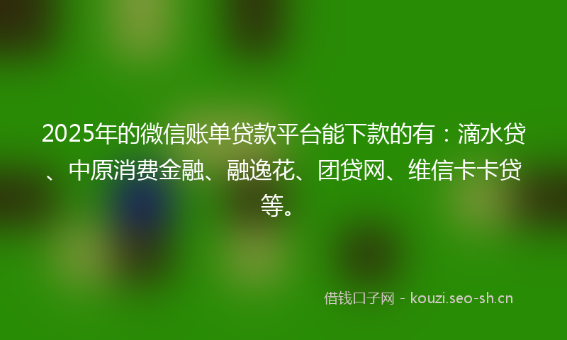 2025年的微信账单贷款平台能下款的有：滴水贷、中原消费金融、融逸花、团贷网、维信卡卡贷等。
