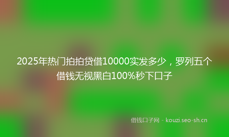2025年热门拍拍贷借10000实发多少，罗列五个借钱无视黑白100%秒下口子