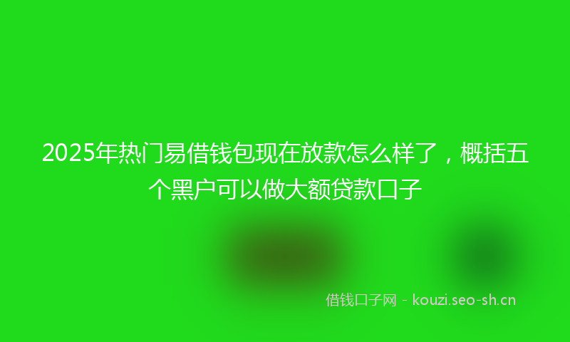 2025年热门易借钱包现在放款怎么样了，概括五个黑户可以做大额贷款口子
