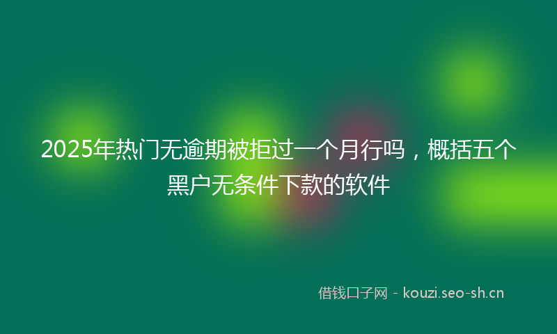 2025年热门无逾期被拒过一个月行吗，概括五个黑户无条件下款的软件