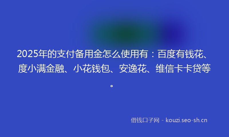 2025年的支付备用金怎么使用有：百度有钱花、度小满金融、小花钱包、安逸花、维信卡卡贷等。