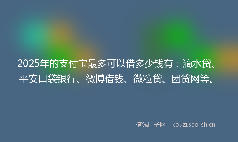 2025年的支付宝最多可以借多少钱有：滴水贷、平安口袋银行、微博借钱、微粒贷、团贷网等。