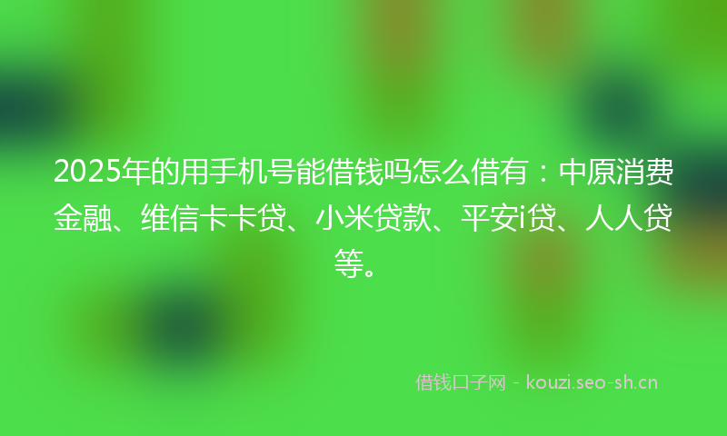 2025年的用手机号能借钱吗怎么借有：中原消费金融、维信卡卡贷、小米贷款、平安i贷、人人贷等。