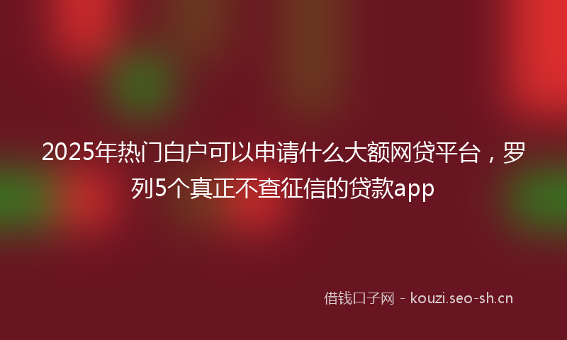 2025年热门白户可以申请什么大额网贷平台，罗列5个真正不查征信的贷款app