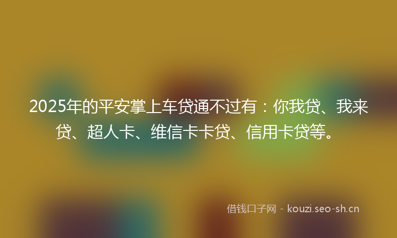 2025年的平安掌上车贷通不过有：你我贷、我来贷、超人卡、维信卡卡贷、信用卡贷等。