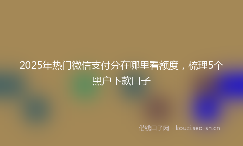 2025年热门微信支付分在哪里看额度，梳理5个黑户下款口子