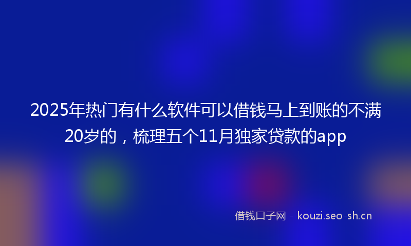 2025年热门有什么软件可以借钱马上到账的不满20岁的，梳理五个11月独家贷款的app